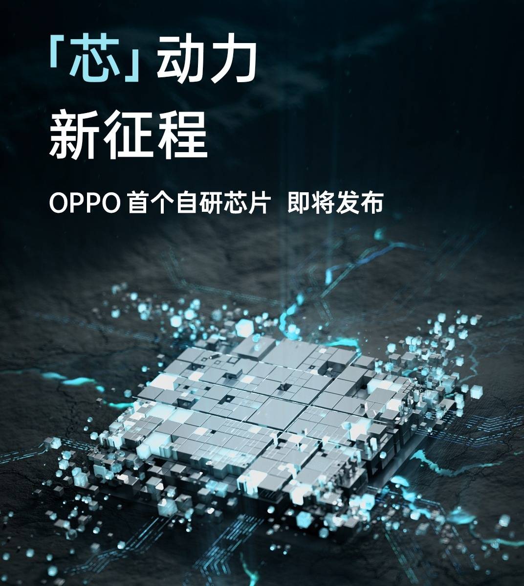 再见OPPO马里亚纳 叶子的离去是风的追求还是树的不挽留 - 第2张 - 智趣东西 再见OPPO马里亚纳 叶子的离去是风的追求还是树的不挽留 - 第2张
