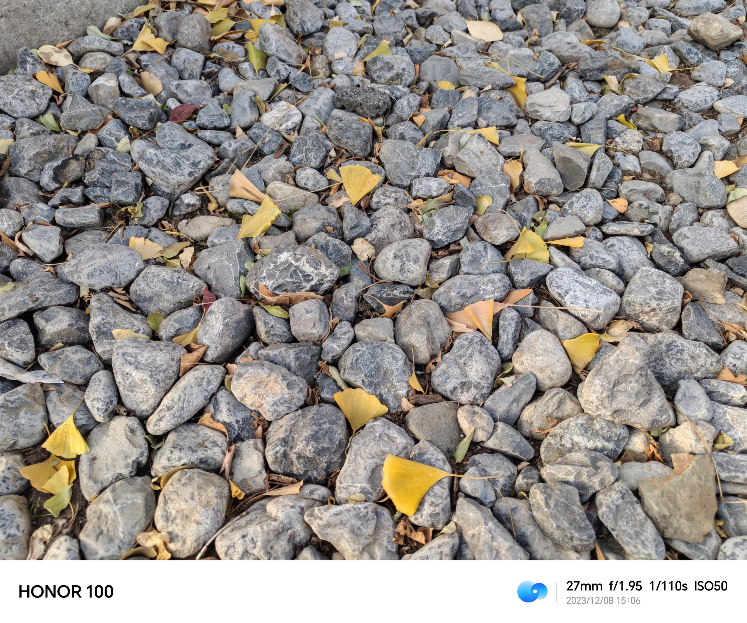 2499元的越级体验 荣耀100长测 - 第23张 - 智趣东西 2499元的越级体验 荣耀100长测 - 第23张