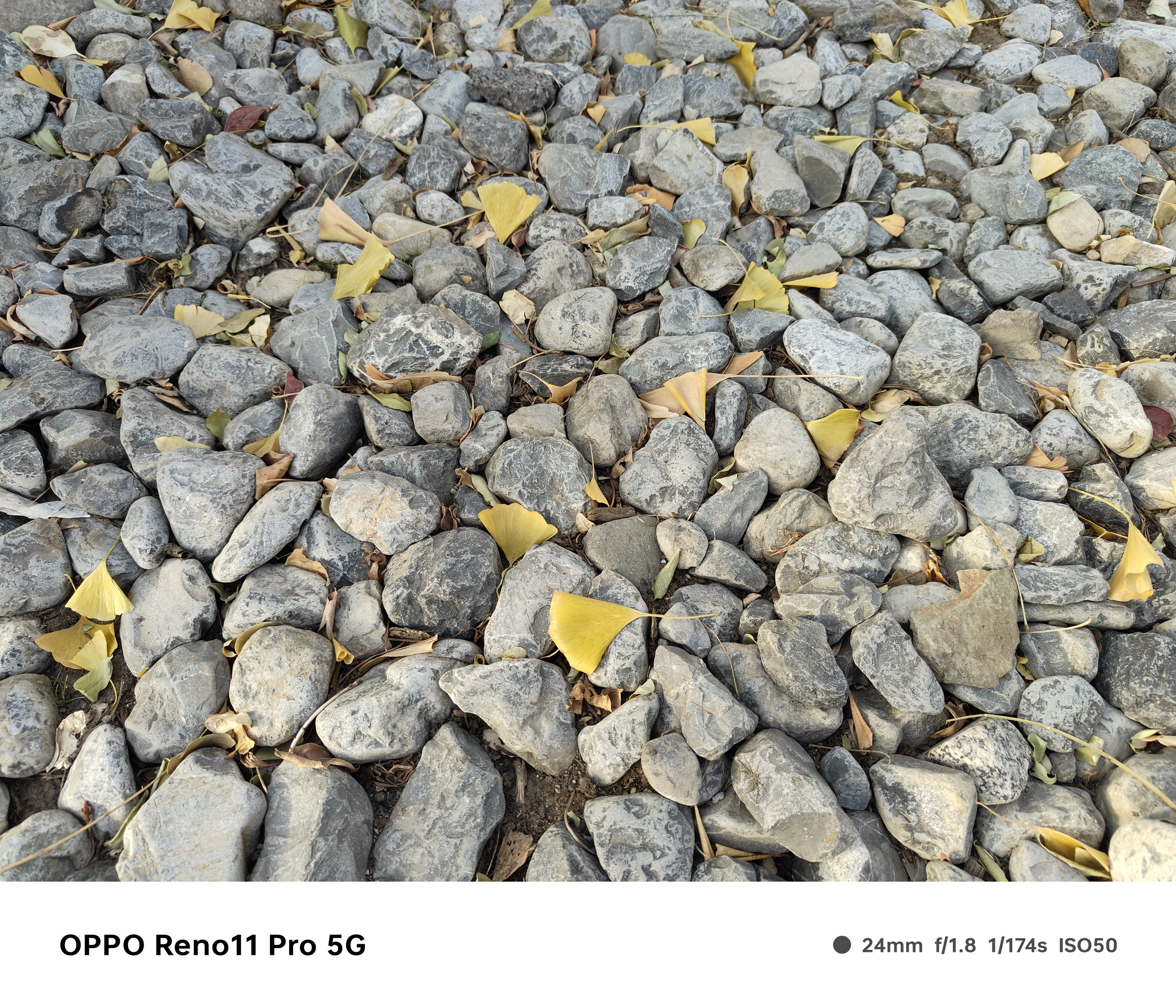 旗舰功能下放!OPPO Reno11 Pro来了 - 第11张 - 智趣东西 旗舰功能下放!OPPO Reno11 Pro来了 - 第11张