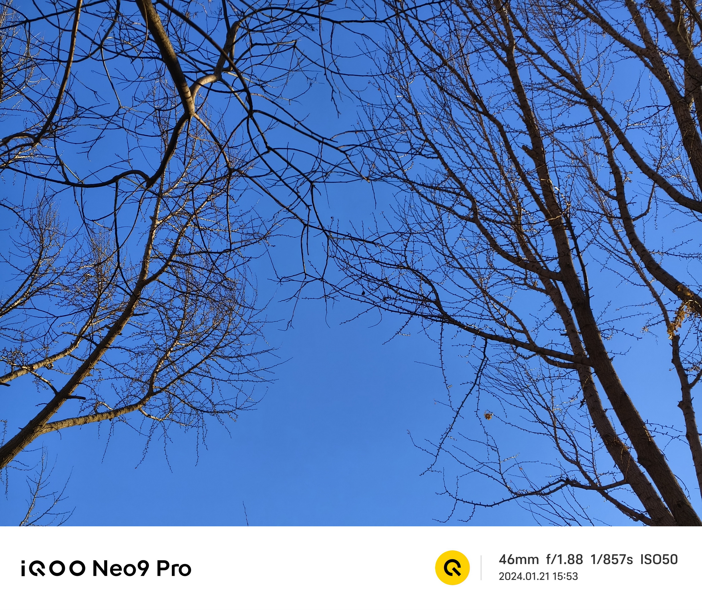 红白魂!游戏利器iQOO Neo9 Pro你会动心么? - 第10张 - 智趣东西 红白魂!游戏利器iQOO Neo9 Pro你会动心么? - 第10张