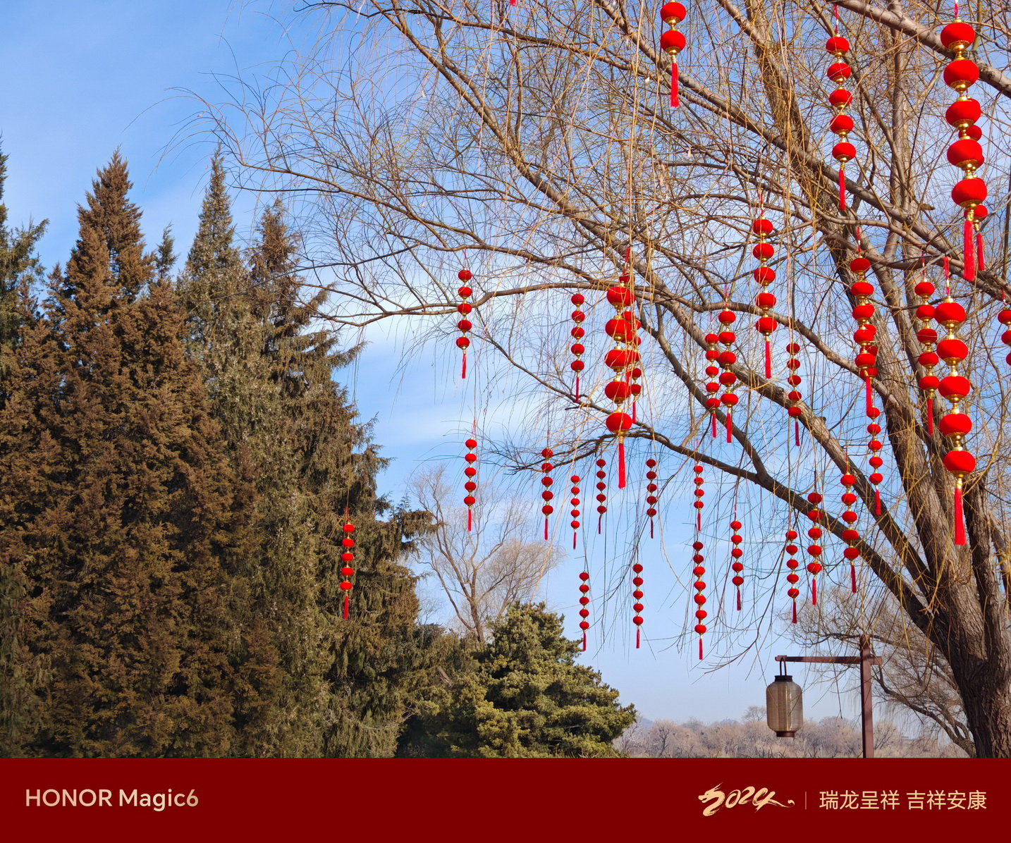 鹰眼抓拍好用吗?荣耀Magic6新春扫街! - 第9张 - 智趣东西 鹰眼抓拍好用吗?荣耀Magic6新春扫街! - 第9张
