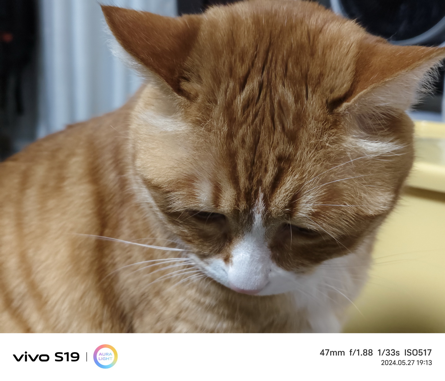 不止AI+拍照 还是年度续航王!vivo S19首测 - 第26张 - 智趣东西 不止AI+拍照 还是年度续航王!vivo S19首测 - 第26张