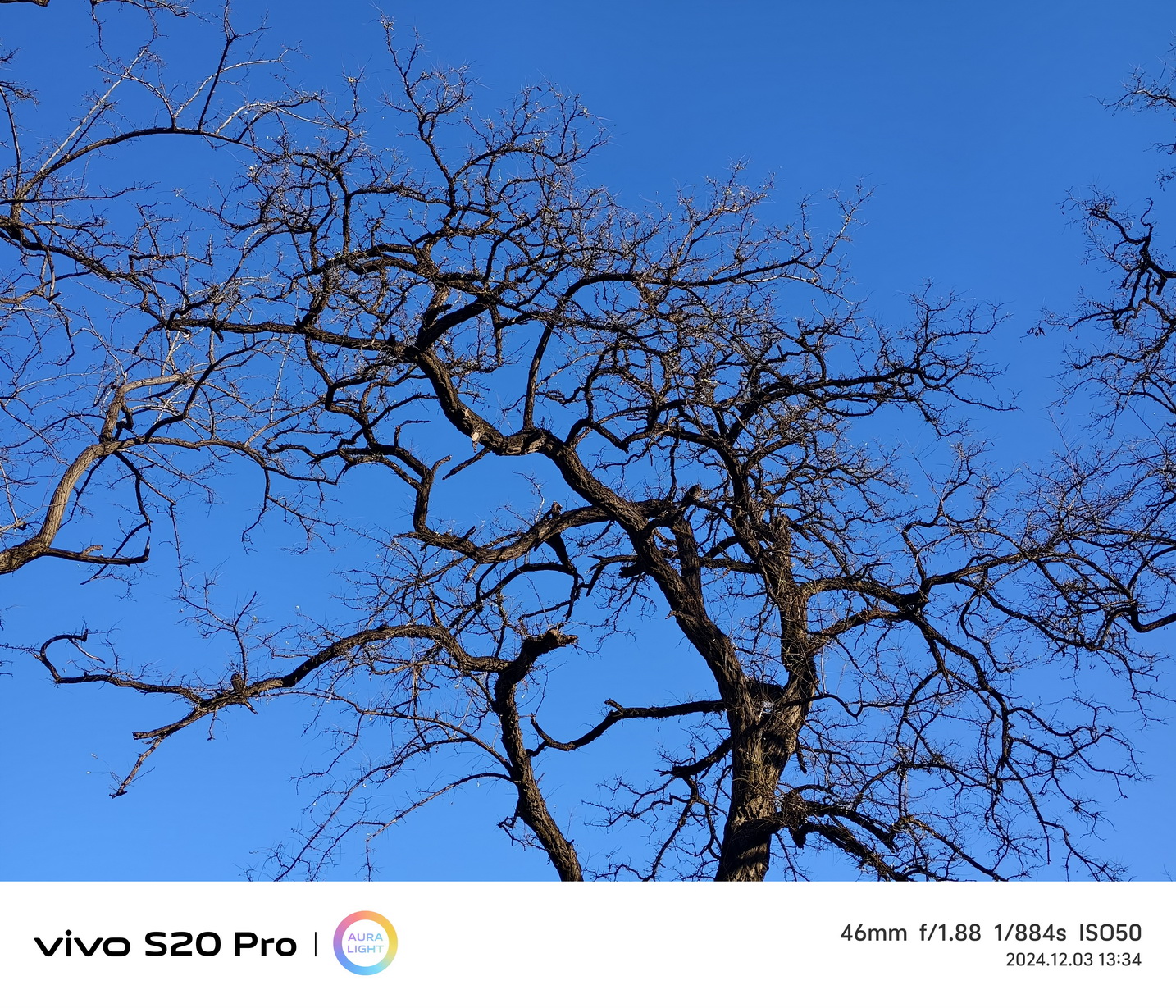 越给越多!潜望长焦+旗舰级SoC的vivo S20 Pro首测来了! - 第6张 - 智趣东西 越给越多!潜望长焦+旗舰级SoC的vivo S20 Pro首测来了! - 第6张