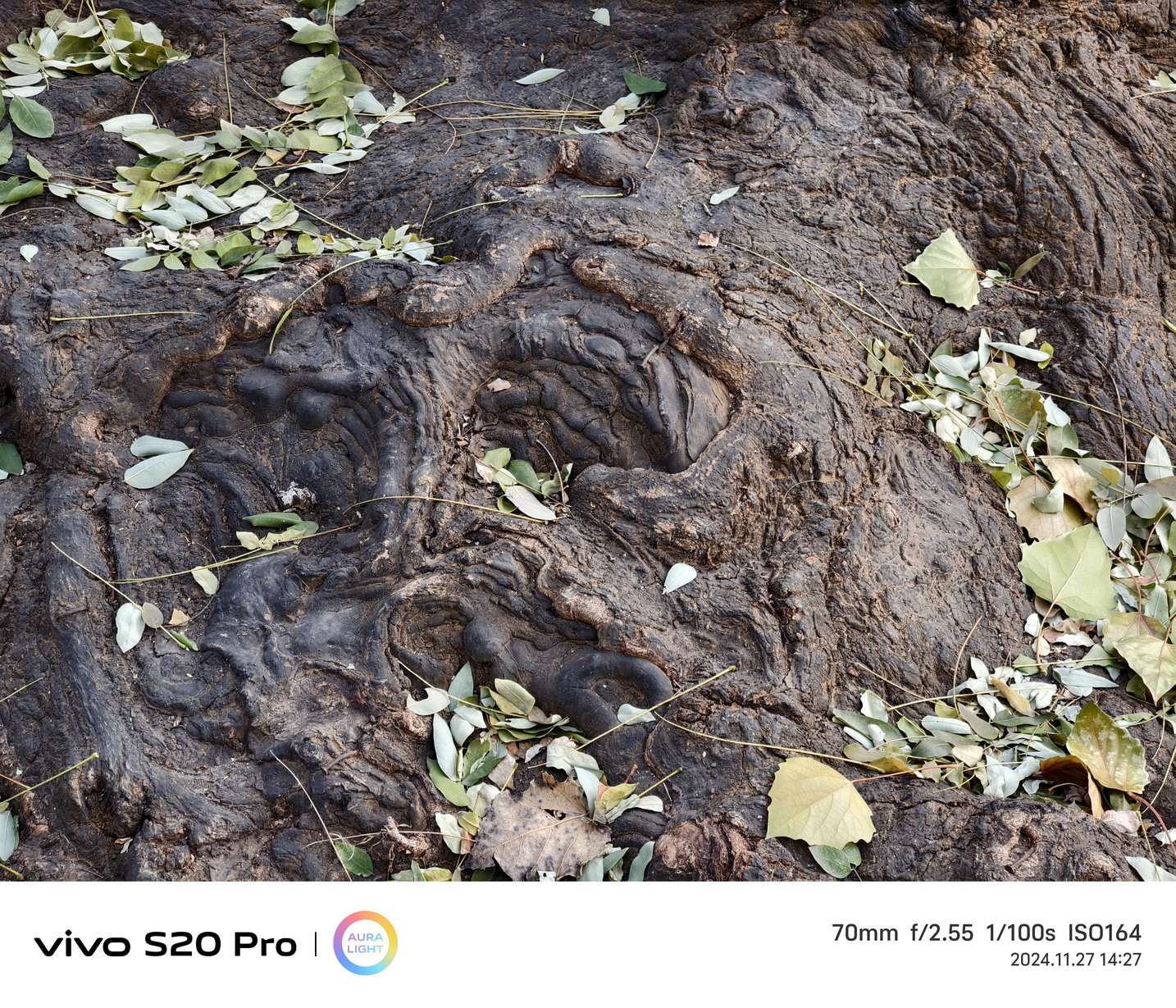 越给越多!潜望长焦+旗舰级SoC的vivo S20 Pro首测来了! - 第7张 - 智趣东西 越给越多!潜望长焦+旗舰级SoC的vivo S20 Pro首测来了! - 第7张