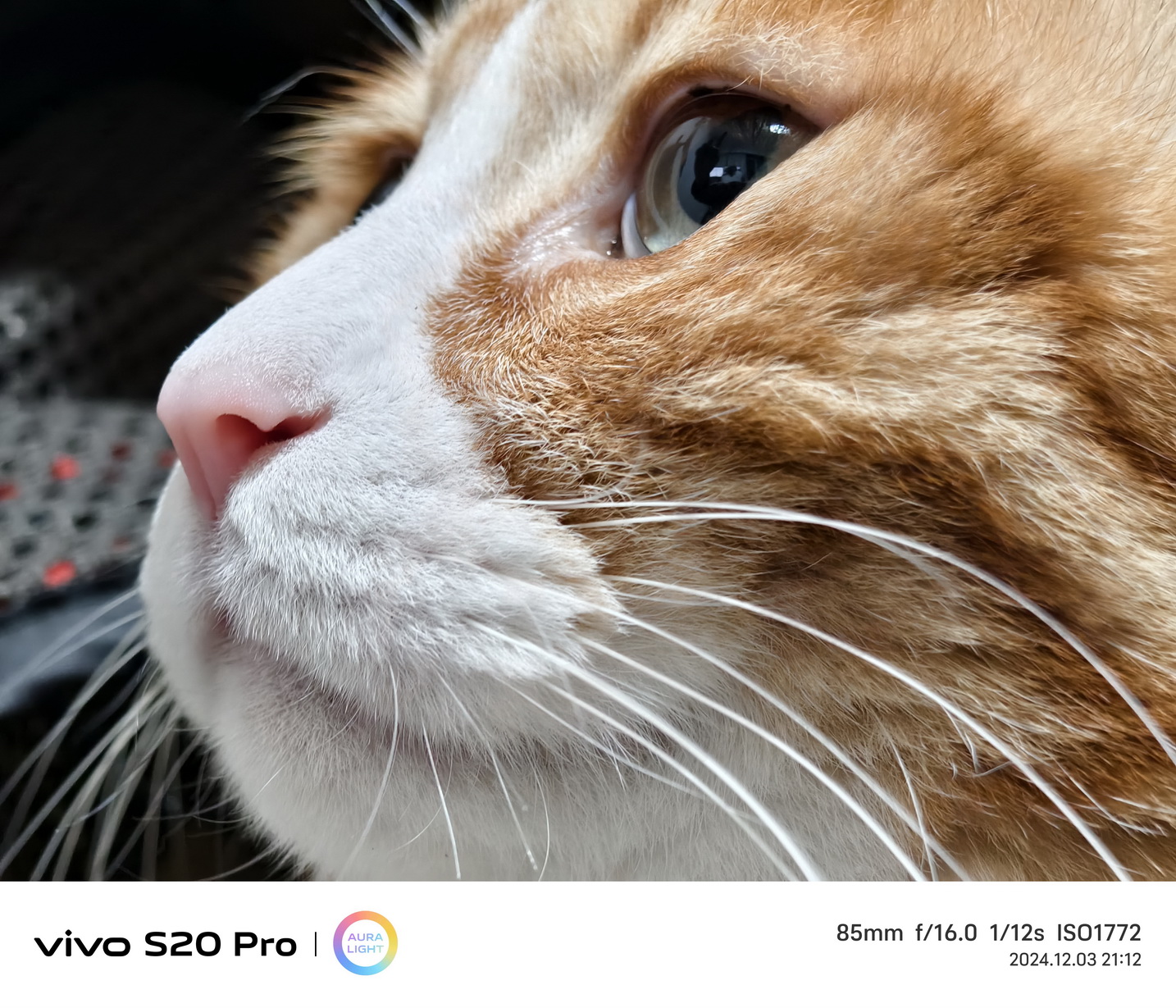 越给越多!潜望长焦+旗舰级SoC的vivo S20 Pro首测来了! - 第10张 - 智趣东西 越给越多!潜望长焦+旗舰级SoC的vivo S20 Pro首测来了! - 第10张