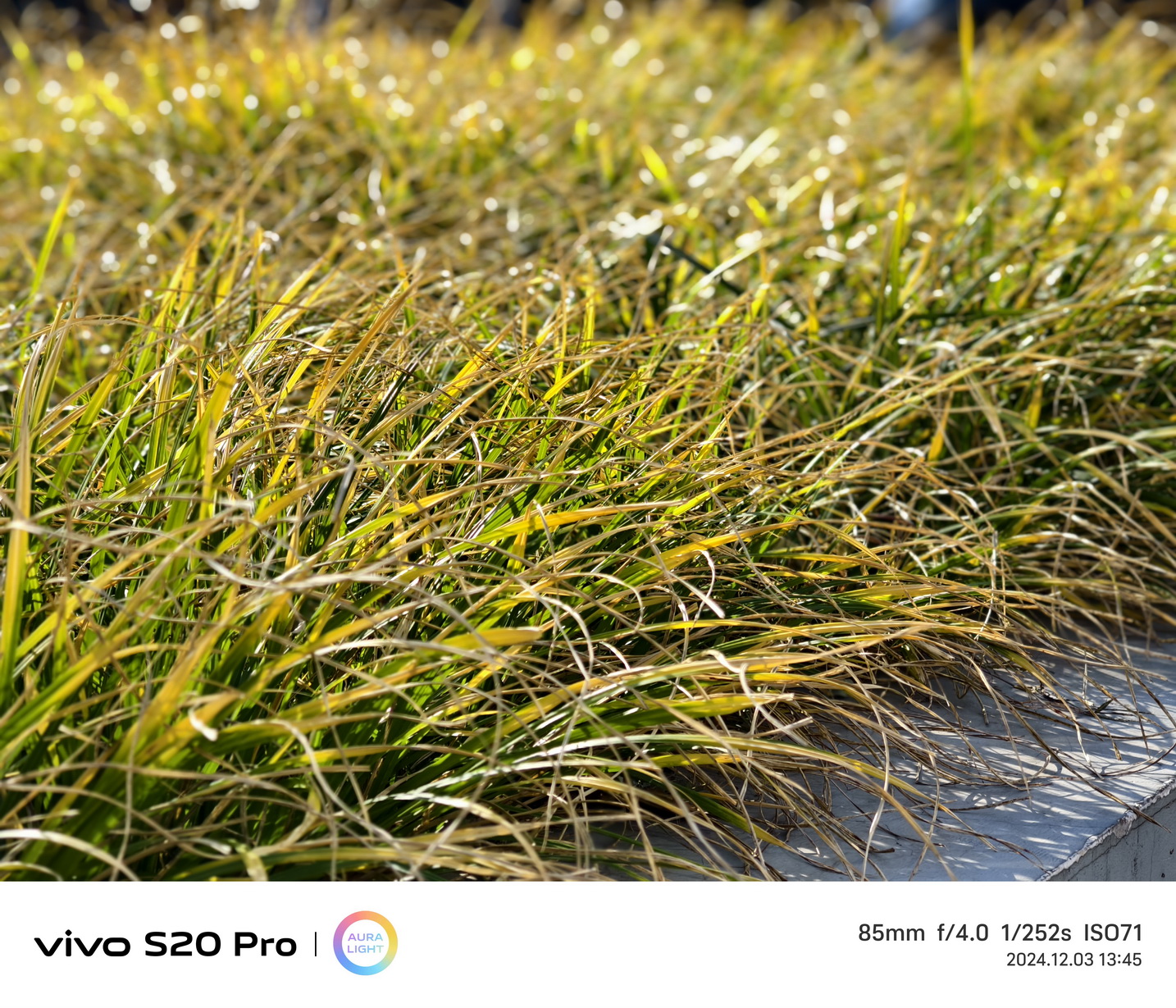越给越多!潜望长焦+旗舰级SoC的vivo S20 Pro首测来了! - 第11张 - 智趣东西 越给越多!潜望长焦+旗舰级SoC的vivo S20 Pro首测来了! - 第11张