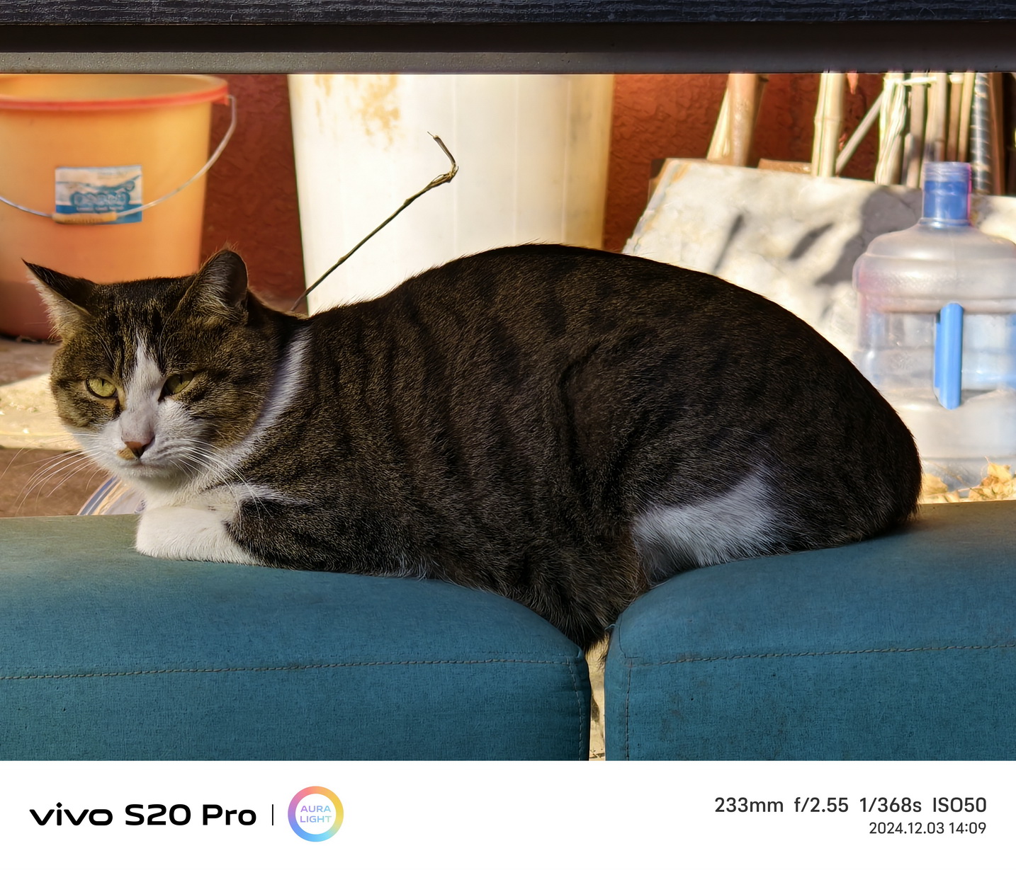 越给越多!潜望长焦+旗舰级SoC的vivo S20 Pro首测来了! - 第14张 - 智趣东西 越给越多!潜望长焦+旗舰级SoC的vivo S20 Pro首测来了! - 第14张