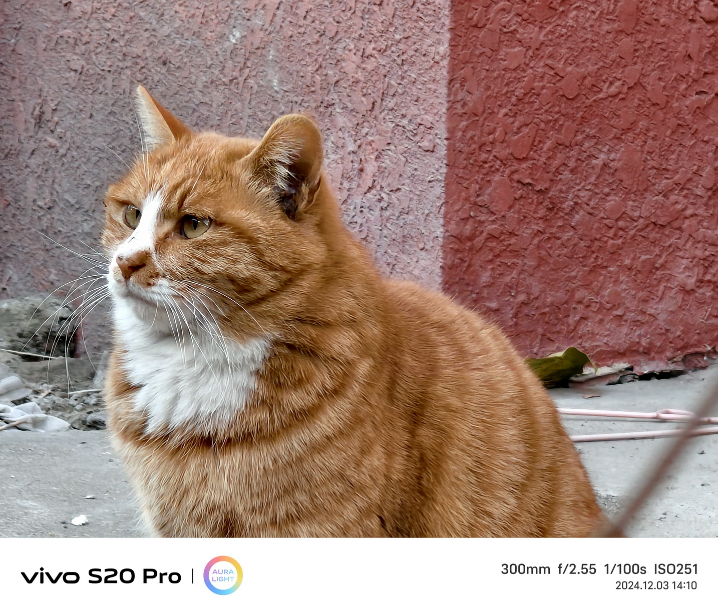 越给越多!潜望长焦+旗舰级SoC的vivo S20 Pro首测来了! - 第16张 - 智趣东西 越给越多!潜望长焦+旗舰级SoC的vivo S20 Pro首测来了! - 第16张