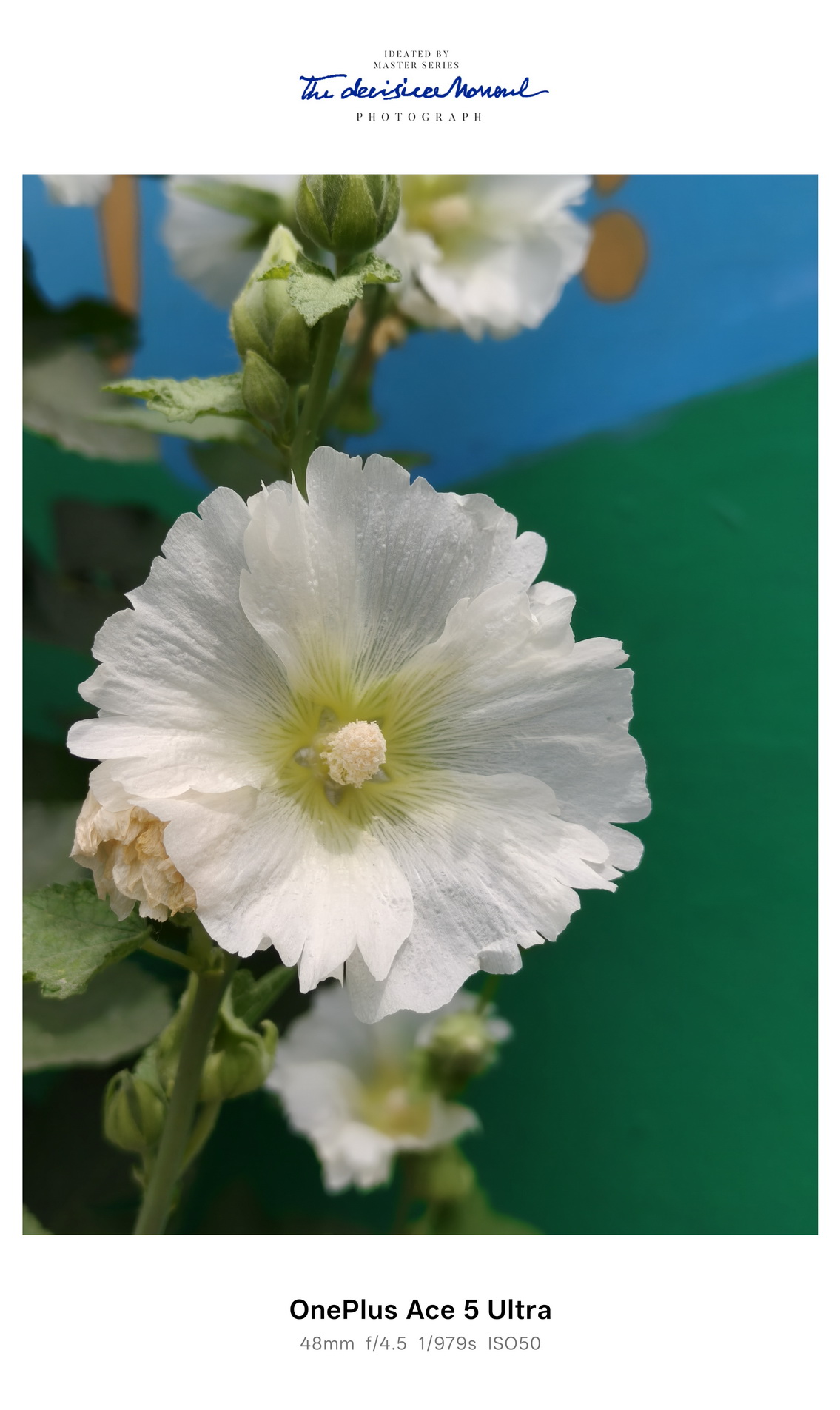 国补后21xx的天玑9400+新卷王!一加 Ace 5 至尊版试用手记 - 第14张 - 智趣东西 国补后21xx的天玑9400+新卷王!一加 Ace 5 至尊版试用手记 - 第14张