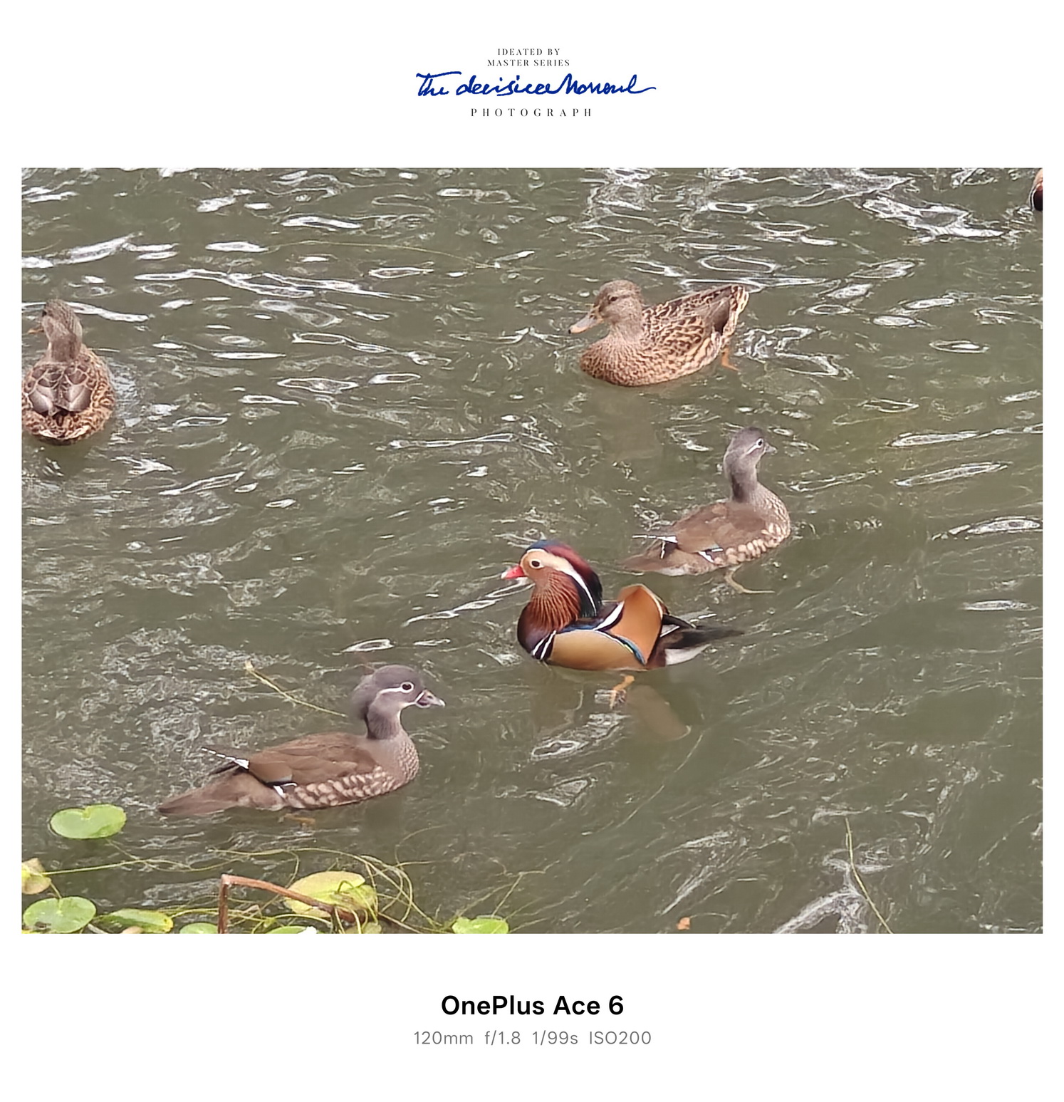 15小时超长续航的满配大杯 一加Ace 6究竟有多超值？ - 第13张