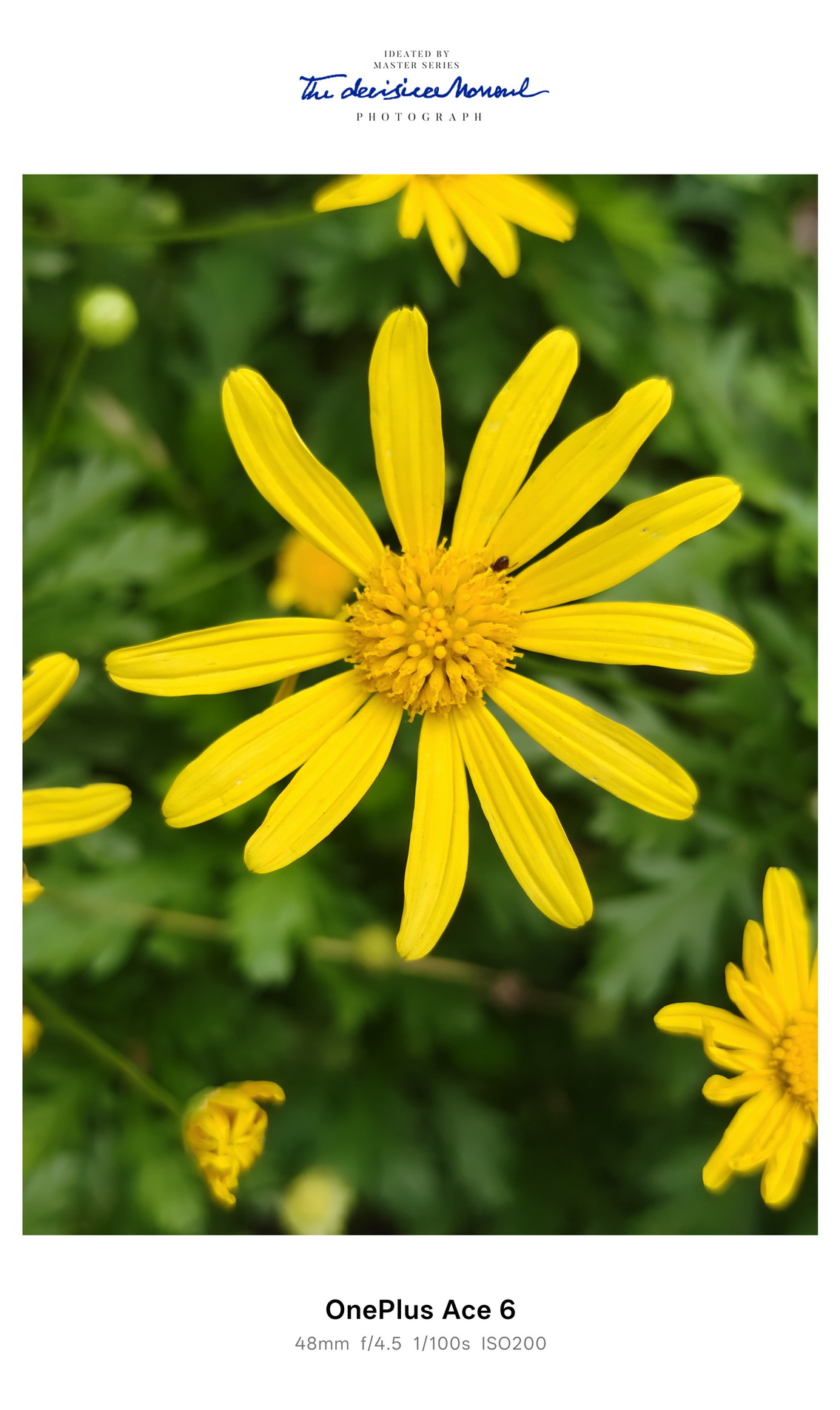 15小时超长续航的满配大杯 一加Ace 6究竟有多超值？ - 第15张