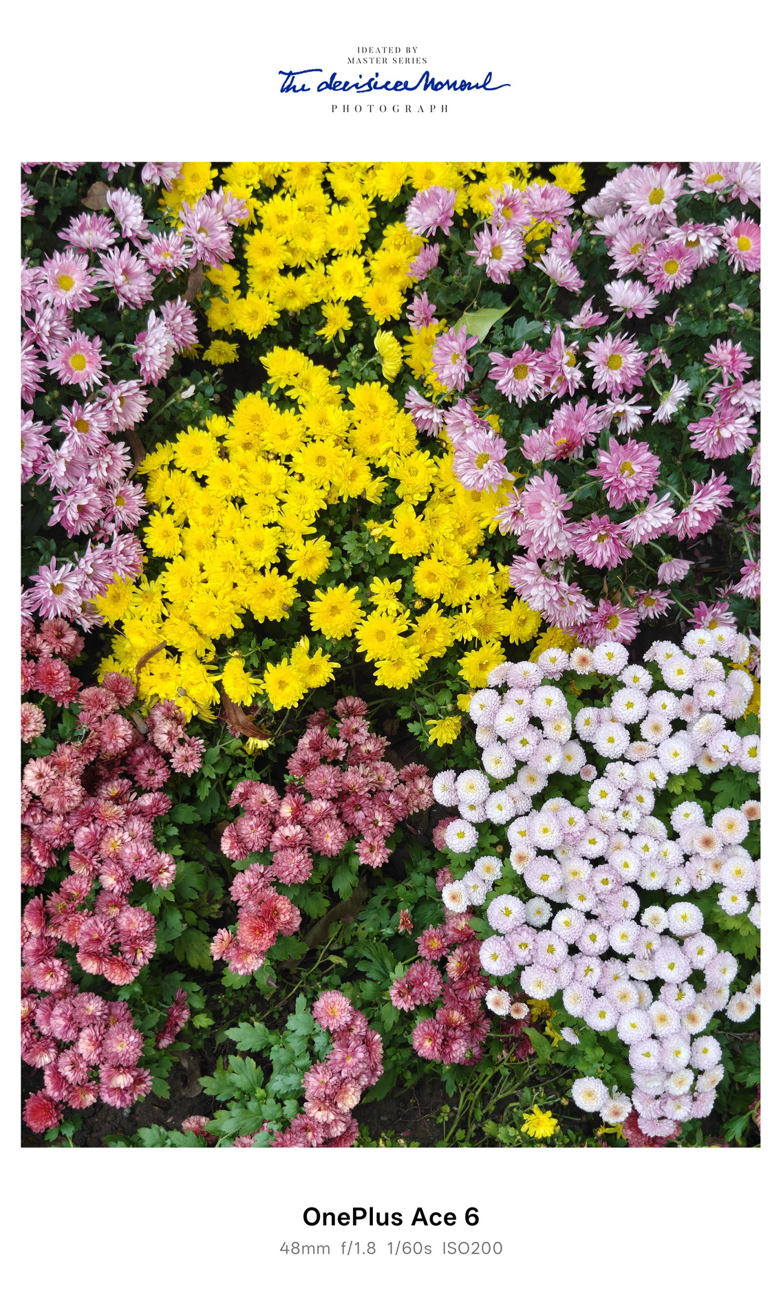 15小时超长续航的满配大杯 一加Ace 6究竟有多超值？ - 第16张