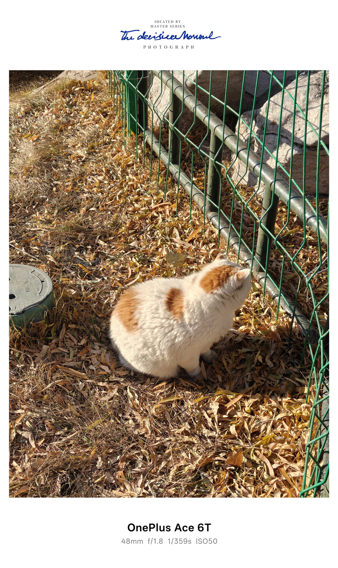 超快超久！165帧18.5小时续航 一加Ace 6T试用体验 - 第11张