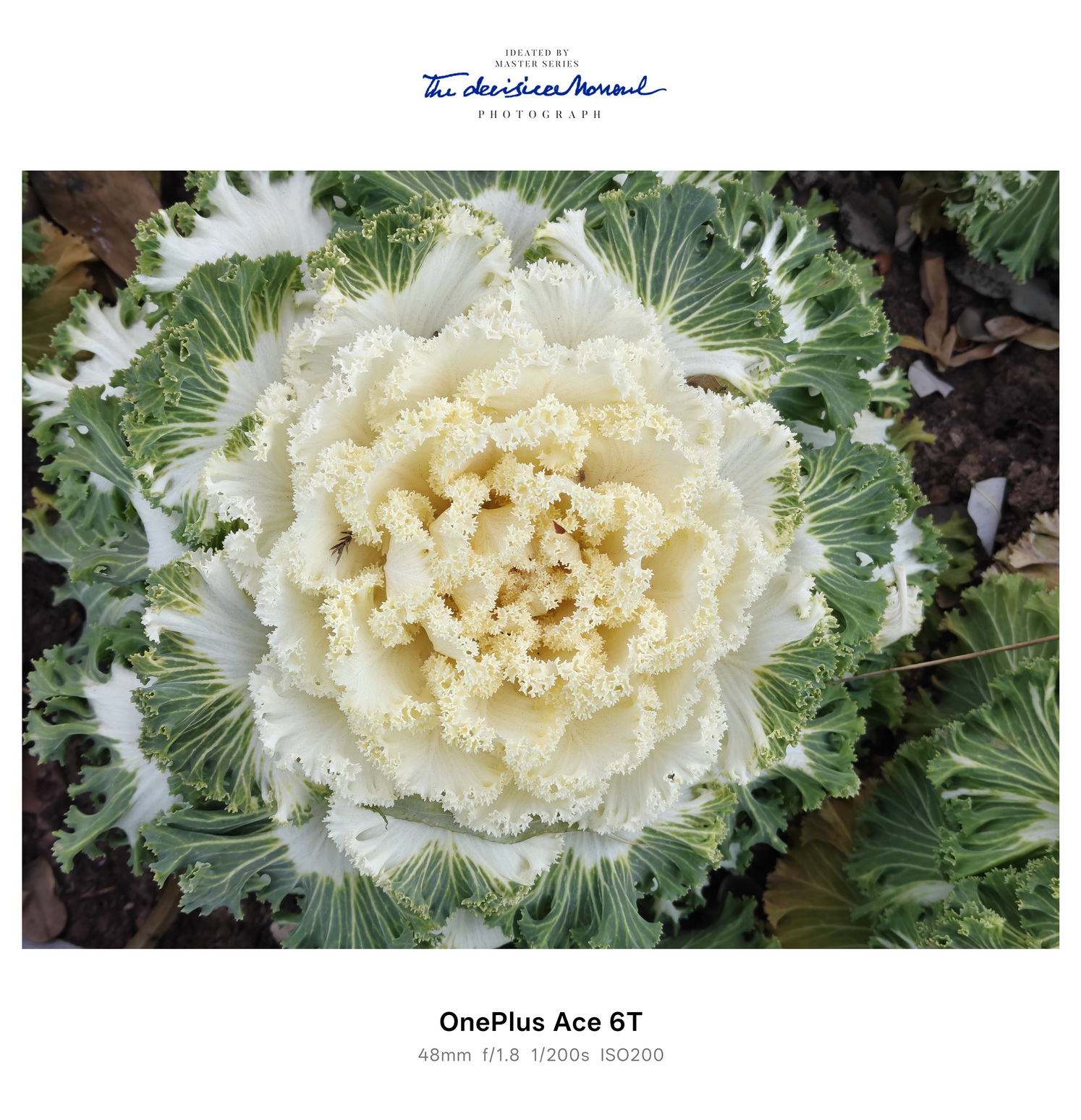 超快超久！165帧18.5小时续航 一加Ace 6T试用体验 - 第12张