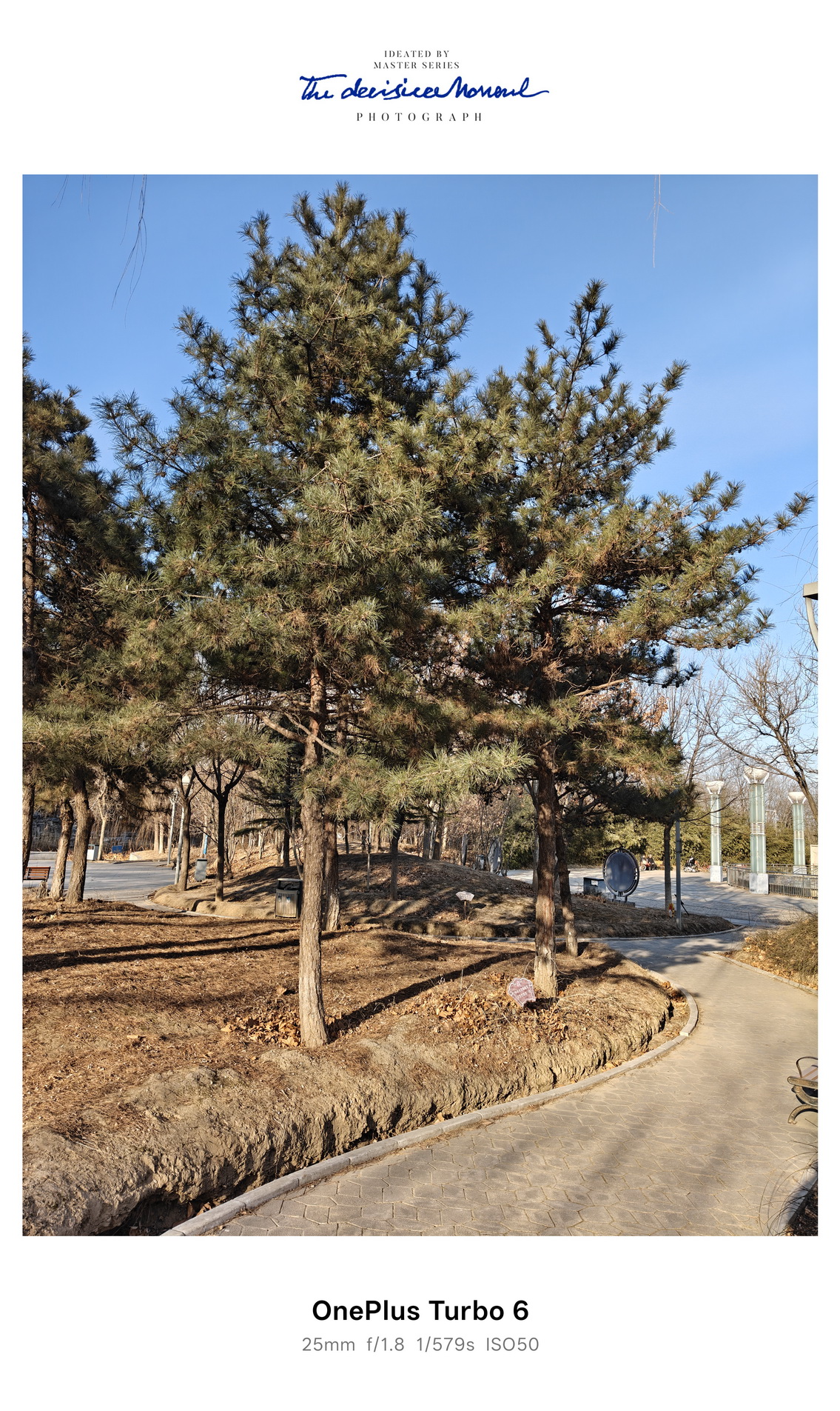 9000mAh+165帧的越级主力！一加 Turbo 6首测 - 第9张